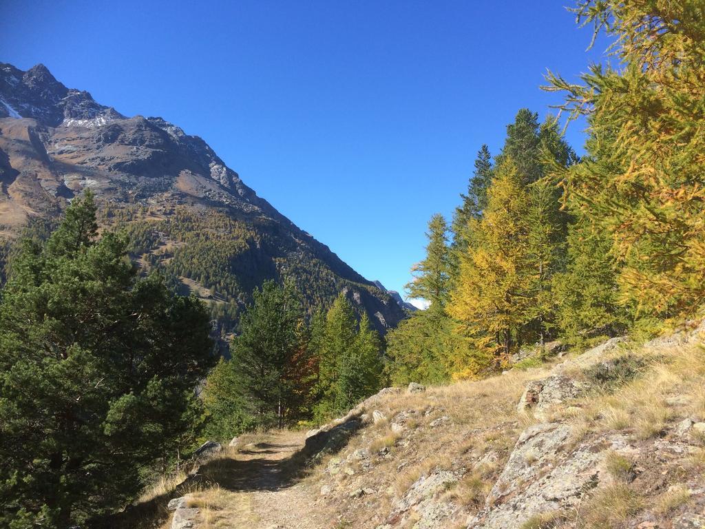Haus Alpenstern Apartman Saas-Grund Kültér fotó