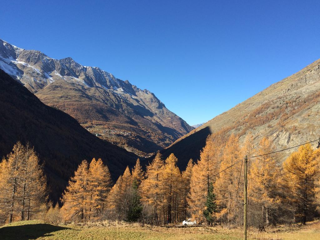 Haus Alpenstern Apartman Saas-Grund Kültér fotó