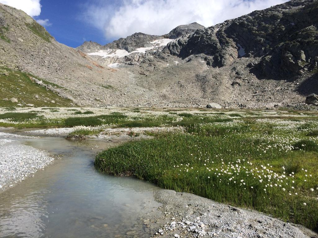 Haus Alpenstern Apartman Saas-Grund Kültér fotó
