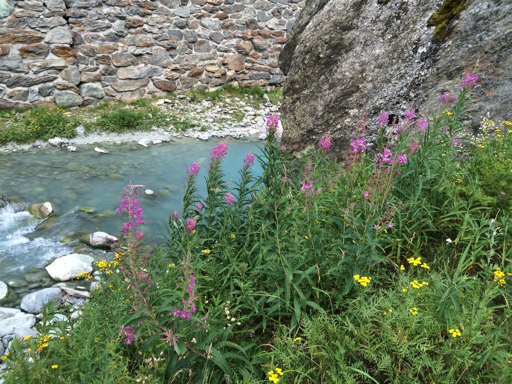 Haus Alpenstern Apartman Saas-Grund Kültér fotó