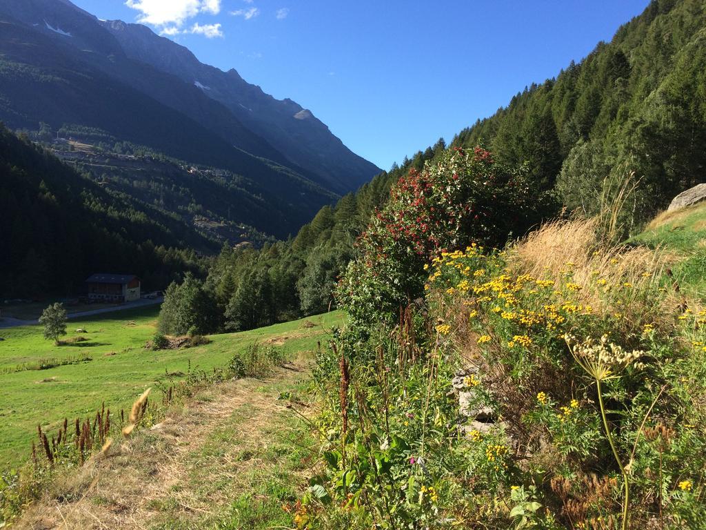 Haus Alpenstern Apartman Saas-Grund Kültér fotó
