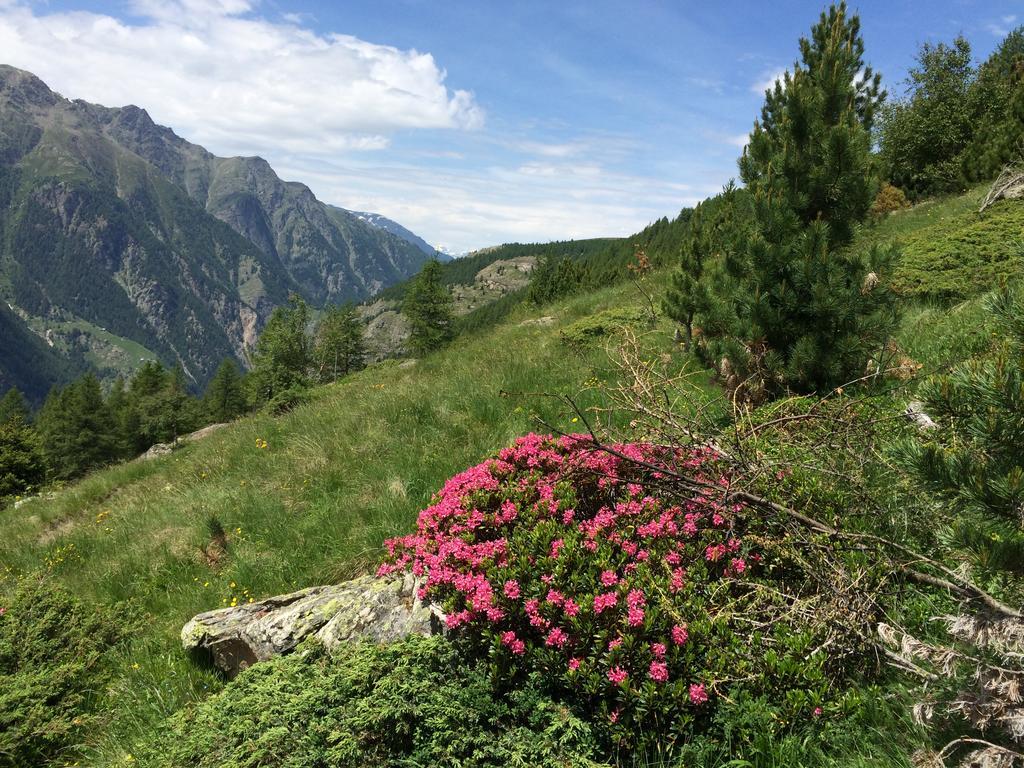 Haus Alpenstern Apartman Saas-Grund Kültér fotó