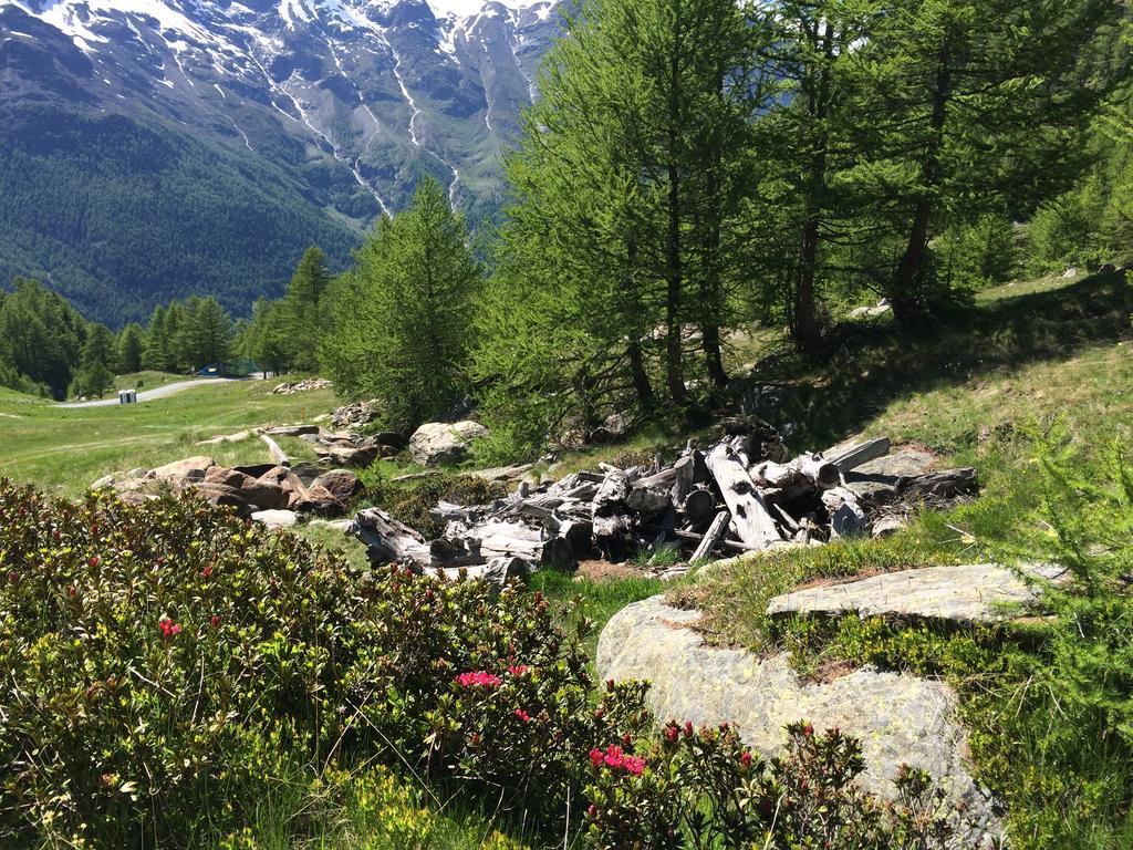 Haus Alpenstern Apartman Saas-Grund Kültér fotó