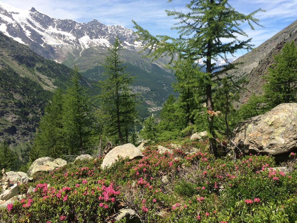 Haus Alpenstern Apartman Saas-Grund Kültér fotó